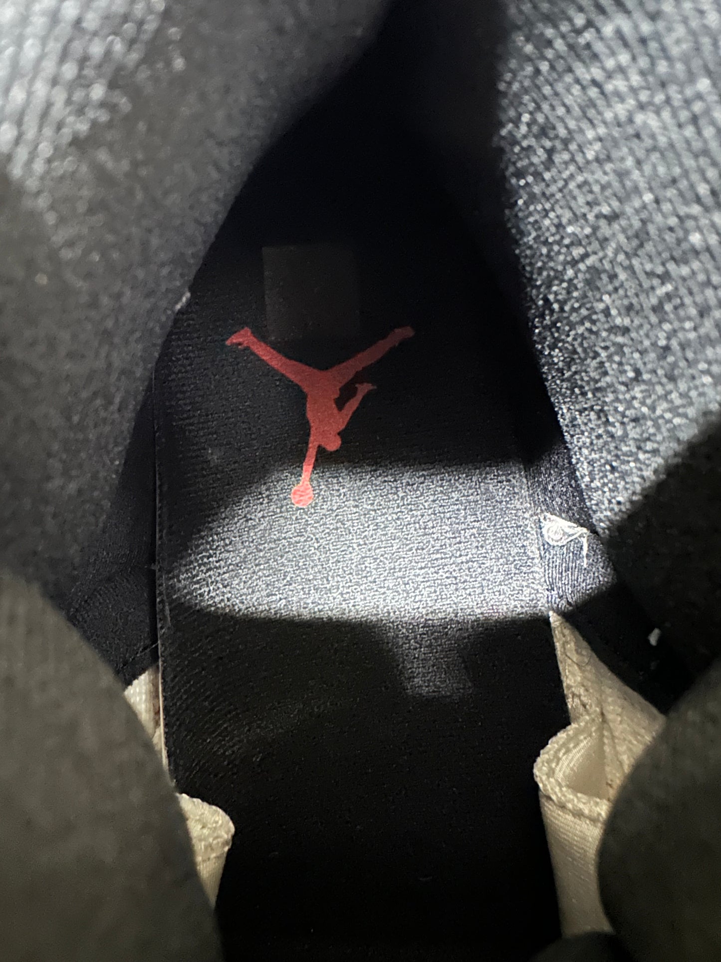 Air Jordan 12 Cherry Sz 9.5