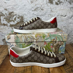 Gucci Brown Monogram Tiger Spell Ace Sz 9 DS