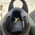 Air Jordan 6 DMP (2020) Sz 11 DS