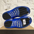 Air Jordan 12 Blueberry Sz 10