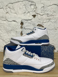 Air Jordan 3 Wizards Sz 12.5