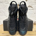 Air Jordan 6 All-Star Chameleon Sz 10.5 DS