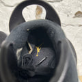 Air Jordan 6 DMP Sz 9.5