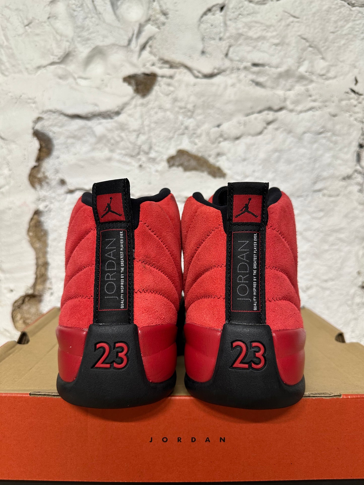 Air Jordan 12 Reverse Flu Game Sz 10