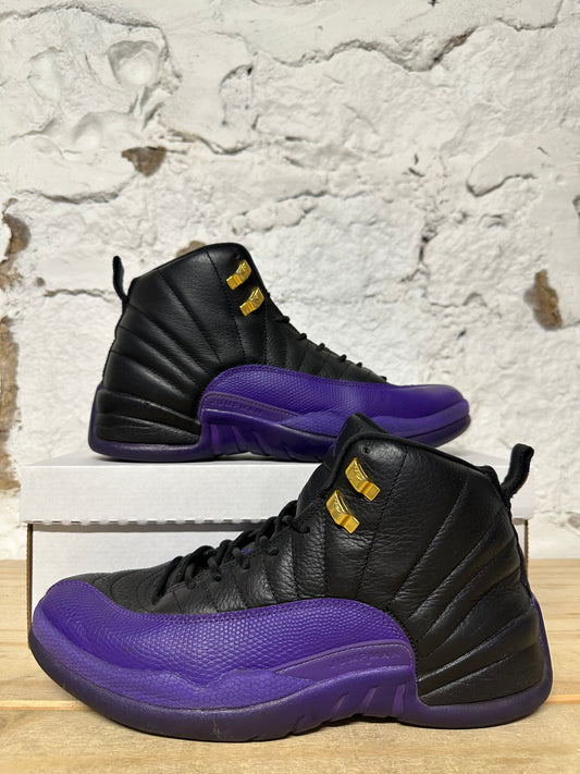 Air Jordan 12 Field Purple Sz 10