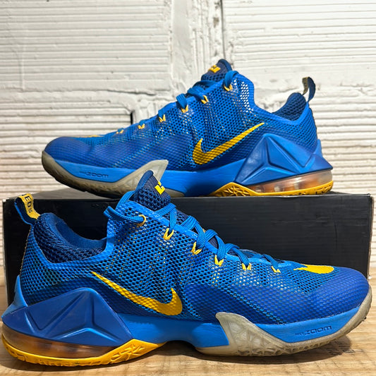 Nike LeBron 12 Low Entourage Sz 13