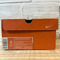 Nike Dunk High Premium Cinder Sz 6