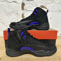 Air Jordan 12 Dark Concord Sz 8