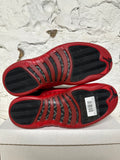 Air Jordan 12 Flu Game Sz 10.5