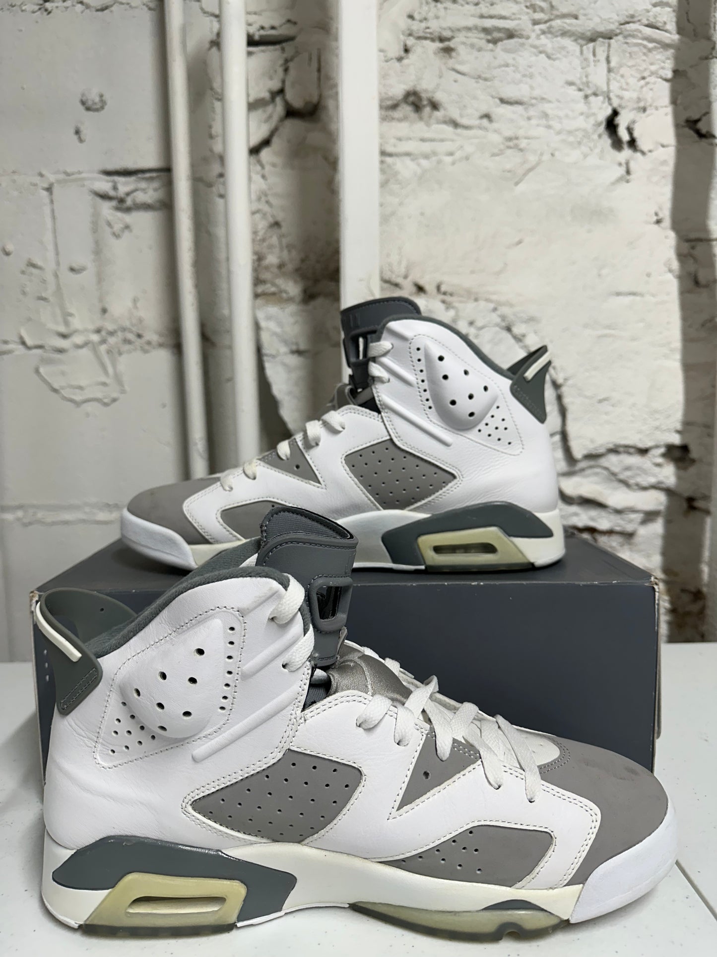 Air Jordan 6 Cool Grey Sz 11