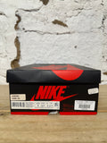 Air Jordan 1 Shattered Backboard 3.0 Sz 9