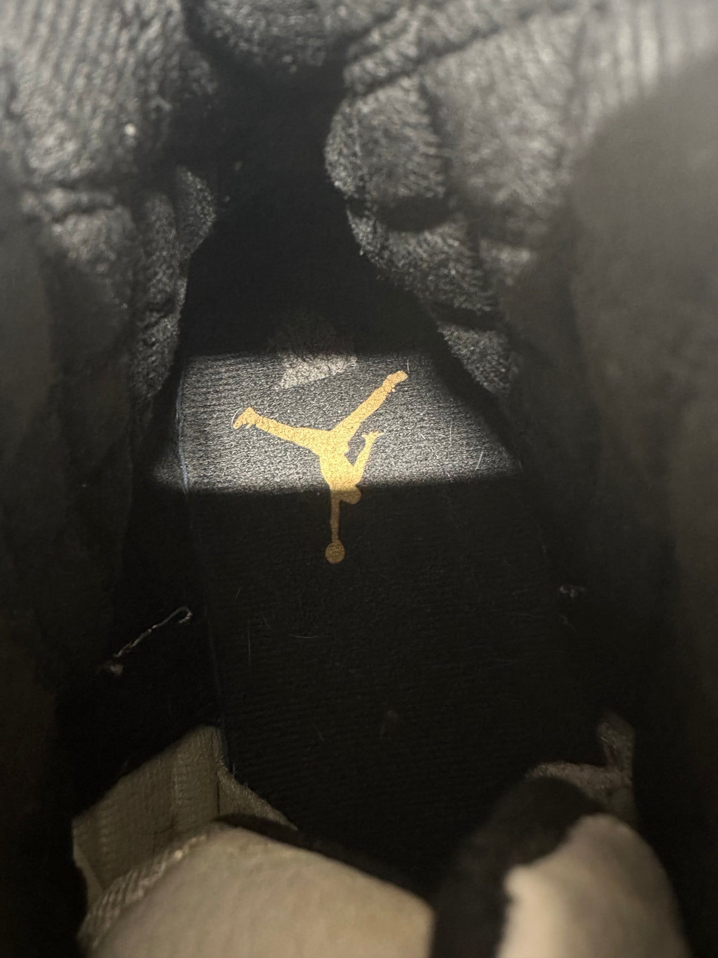 Air Jordan 12 Royalty Sz 10