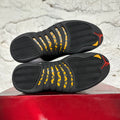 Air Jordan Countdown Pack 11/12 Sz 10 DS