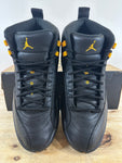 Air Jordan 12 Black Taxi Sz 10.5