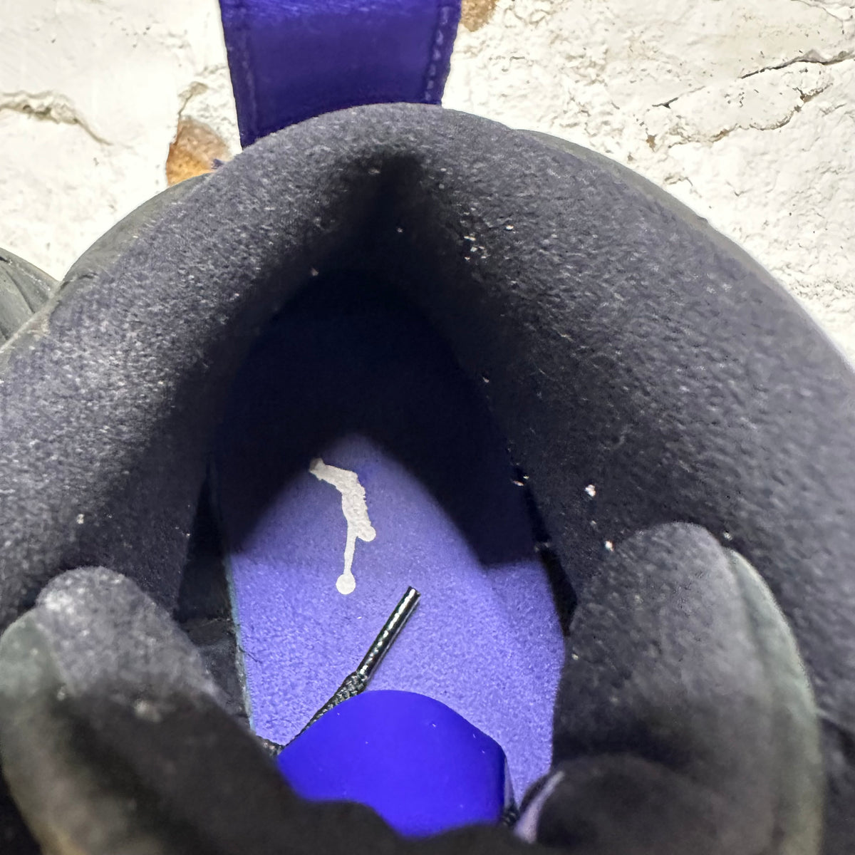 Air Jordan 12 Black Dark Concord Sz 9.5