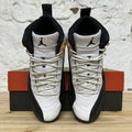 Air Jordan 12 Taxi (2025) Sz 9