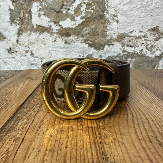 Gucci Brown GG Monogram Belt Sz (95/38)