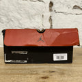 Air Jordan 12 Flu Game (2025) Sz 9.5