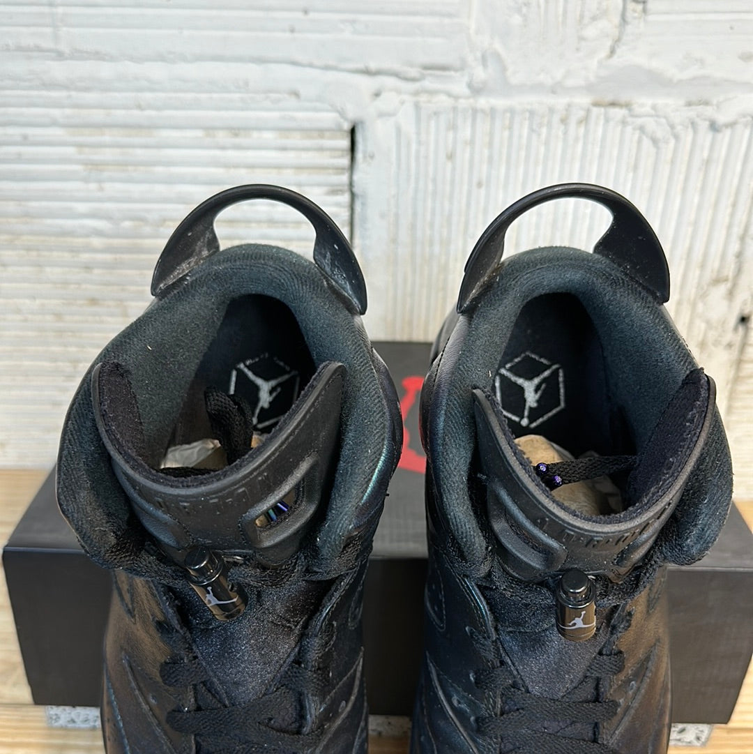Air Jordan 6 All-Star Chameleon (2017) Sz 10