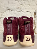 Air Jordan 12 Bordeaux Sz 12