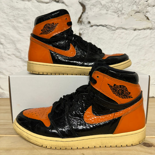 Air Jordan 1 SBB 3.0 Sz 9.5
