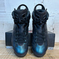 Air Jordan 6 All-Star Chameleon (2017) Sz 10