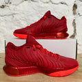 Nike Lebron 21 James Gang Sz 10