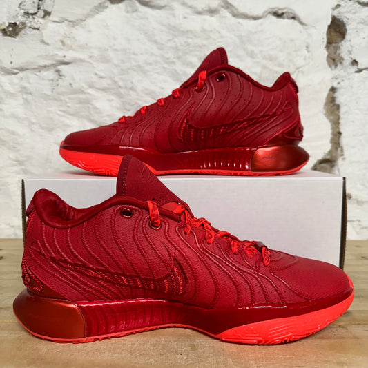 Nike Lebron 21 James Gang Sz 10