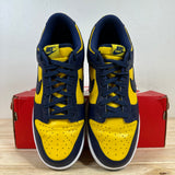 Nike Dunk Low Michigan Sz 10