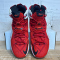 Nike LeBron 12 Heart of a Lion Sz 12