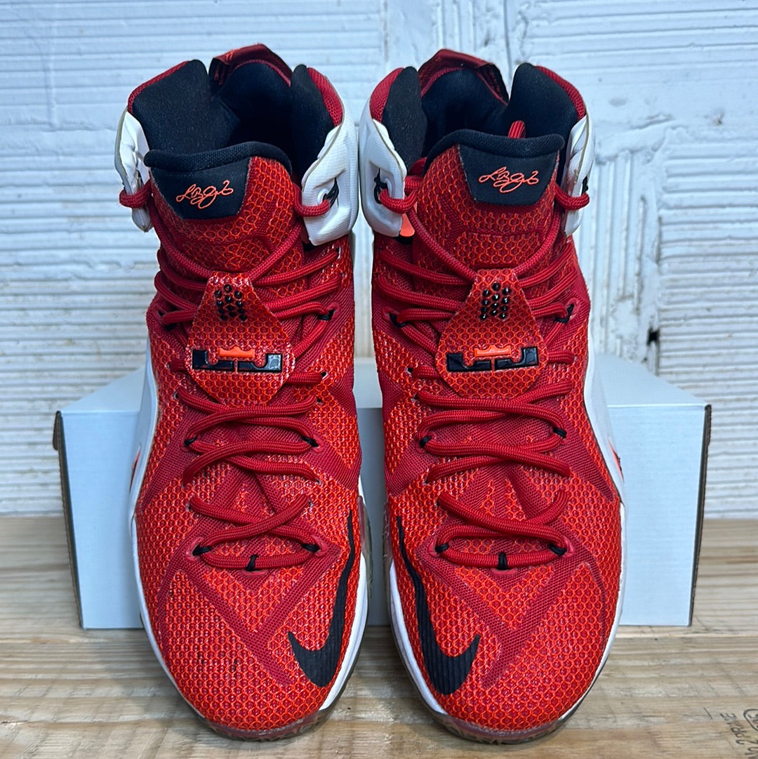Nike LeBron 12 Heart of a Lion Sz 12