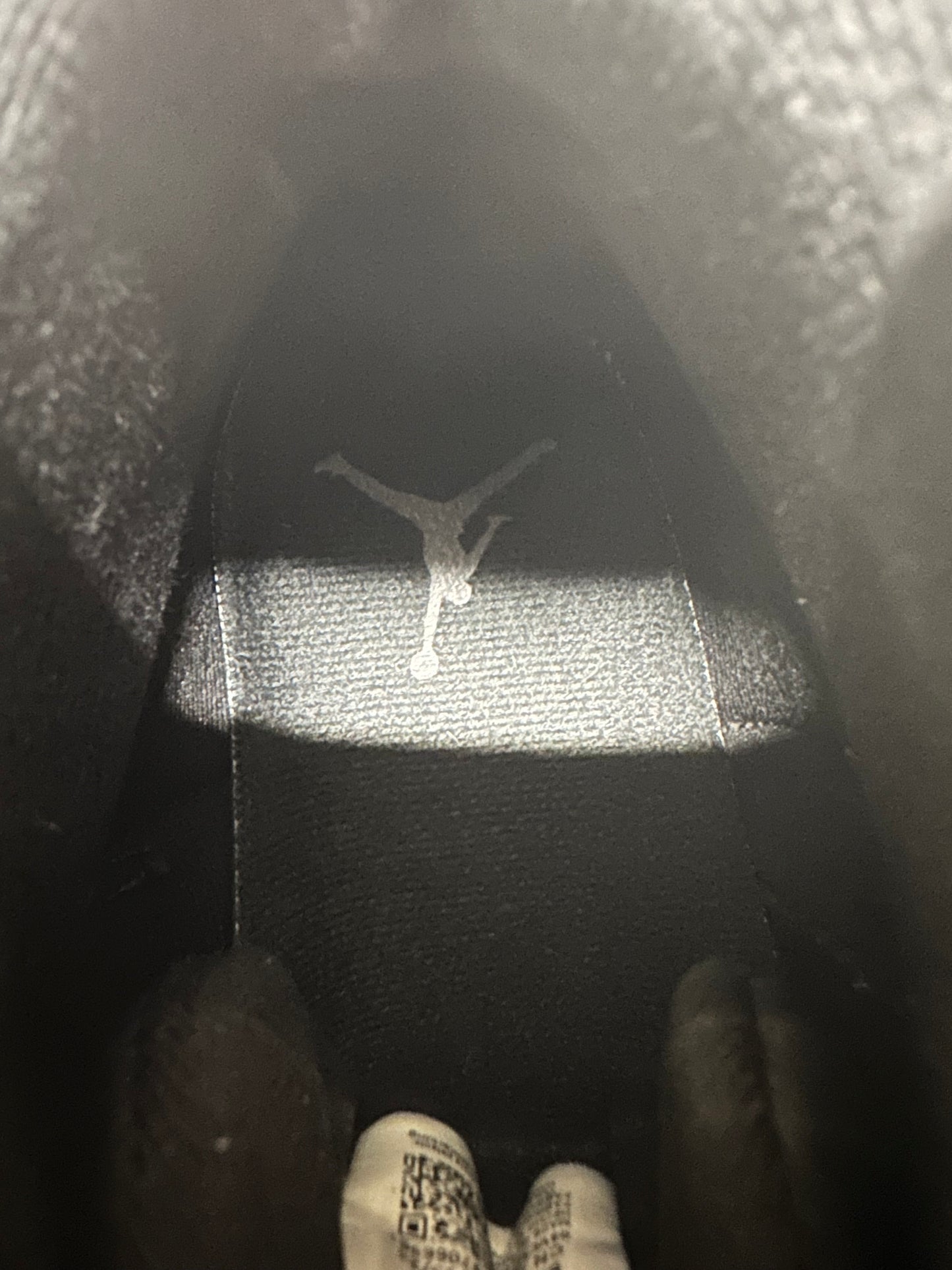 Air Jordan 12 Barons Sz 9.5