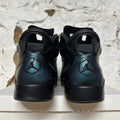 Air Jordan 6 All-Star Chameleon (2017) Sz 11.5