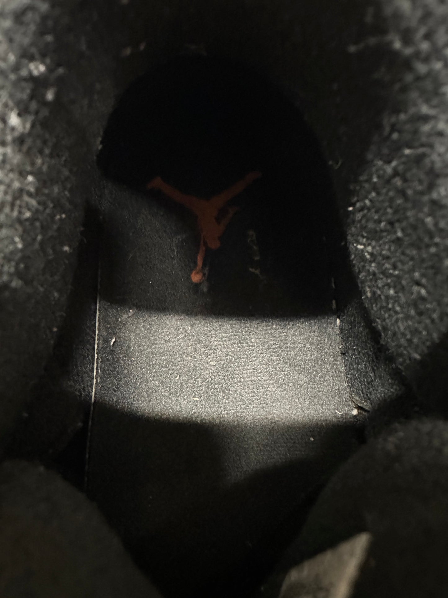 Air Jordan 3 Fear Sz 12