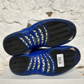 Air Jordan 12 Blueberry Sz 10
