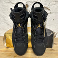Air Jordan 6 (2020) DMP Sz 10