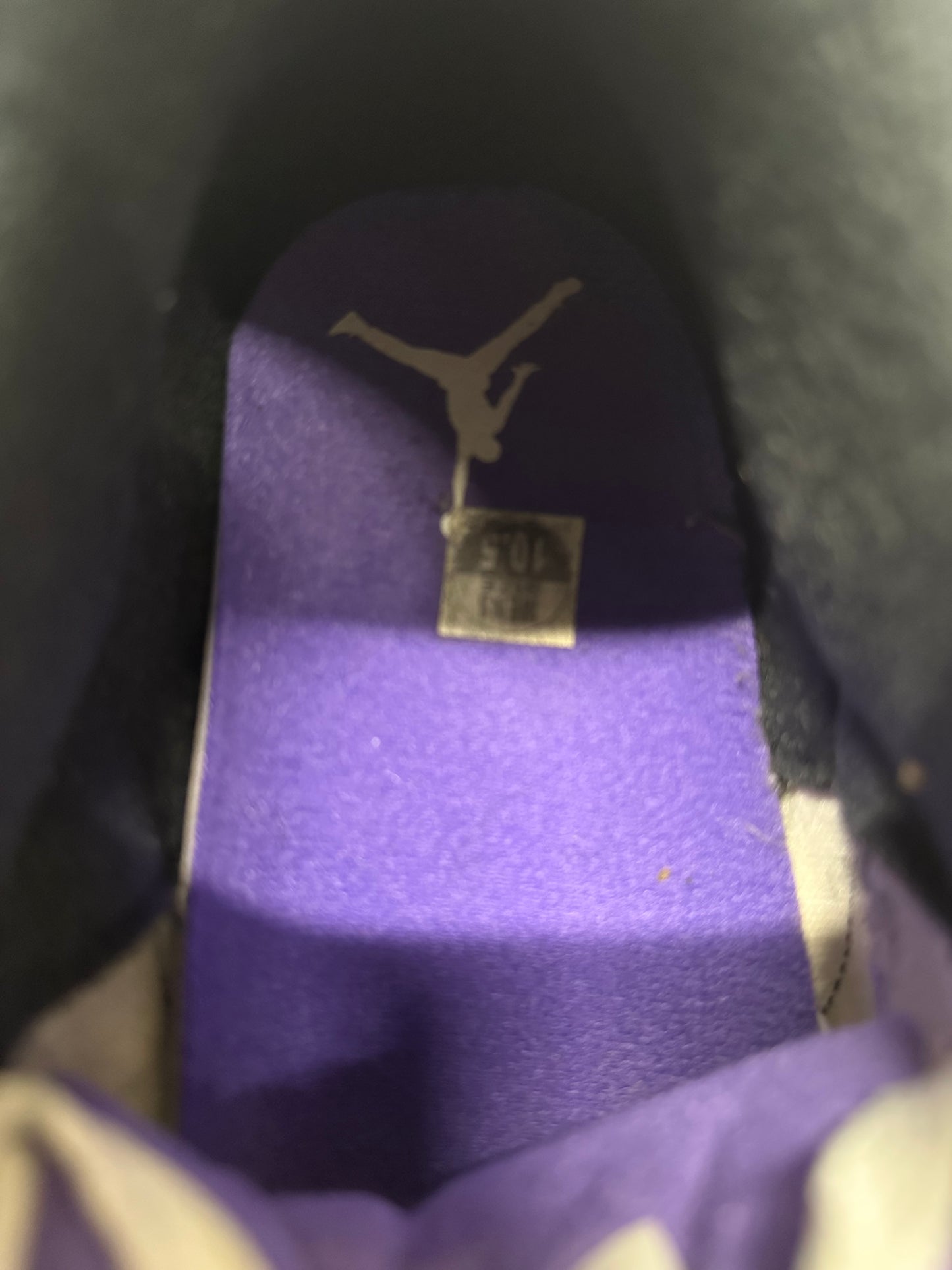 Air Jordan 3 Dark Iris Sz 10.5