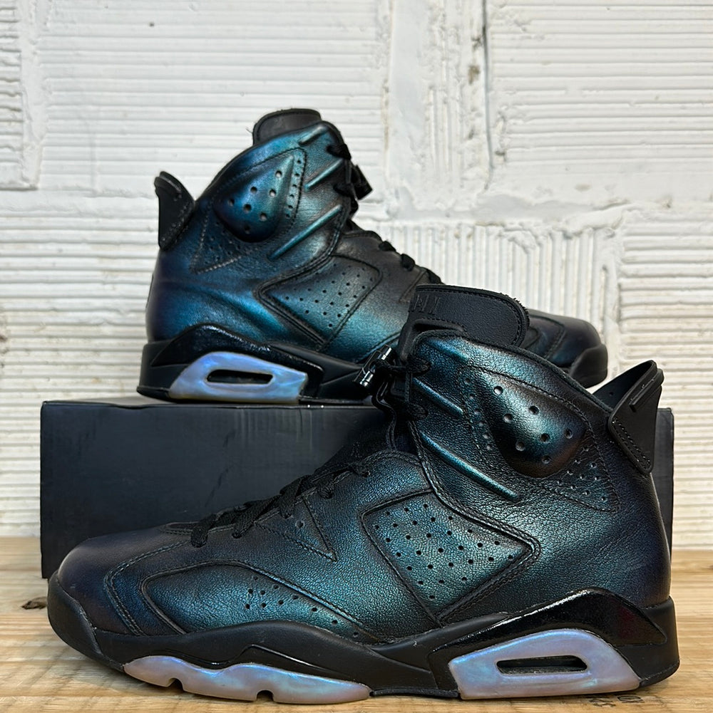 Air Jordan 6 All-Star Chameleon (2017) Sz 10