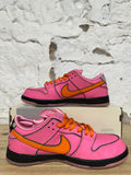 Nike SB Dunk Low Powerpuff Blossom Sz 8.5