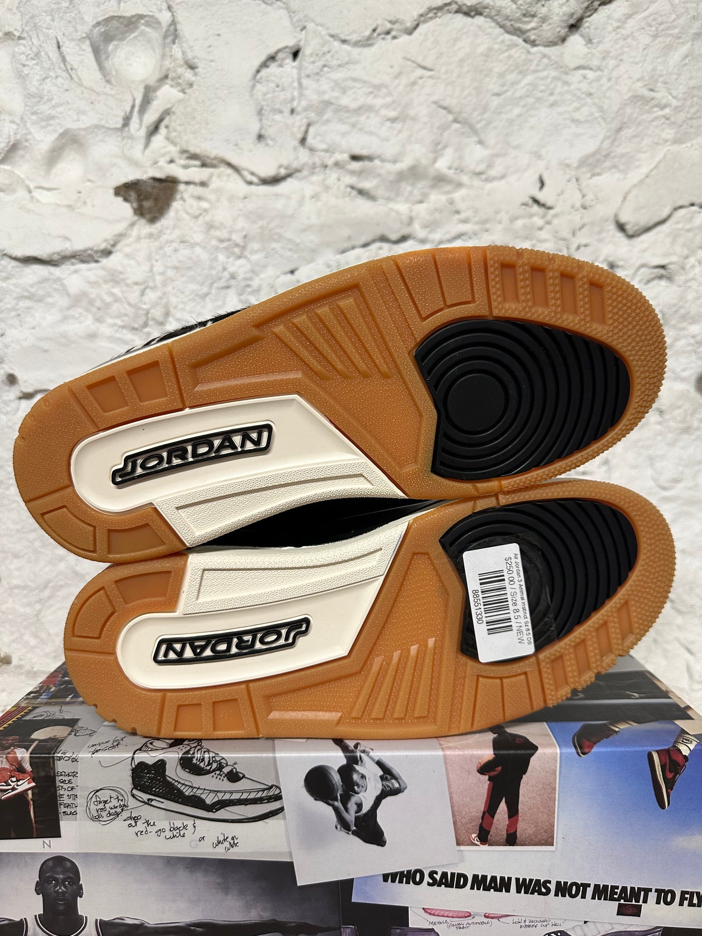 Air Jordan 3 Animal Instinct Sz 8.5 DS