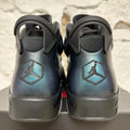 Air Jordan 6 All-Star Chameleon Sz 10.5 DS