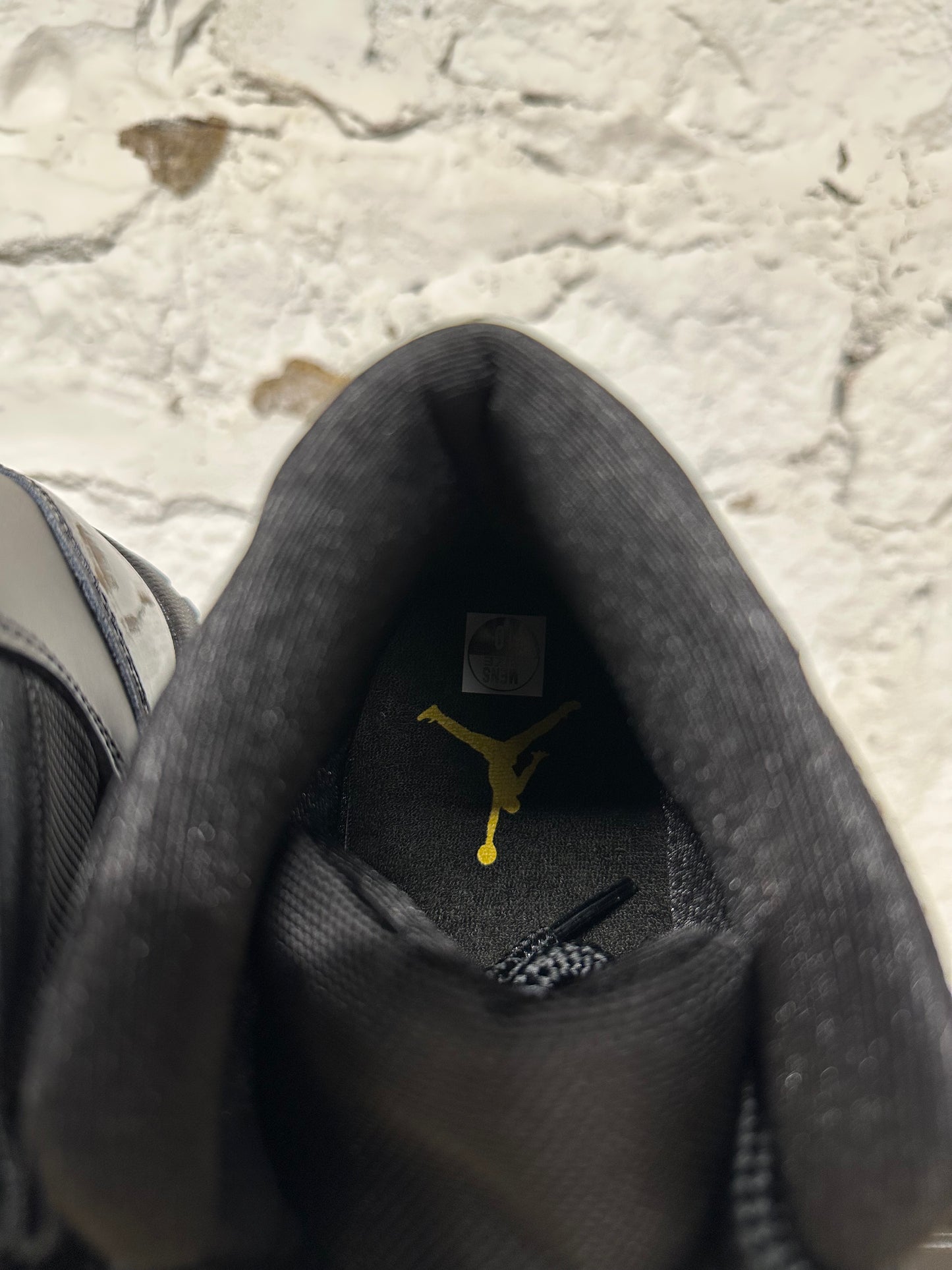 Air Jordan 11 Gamma (2025) Sz 10 DS