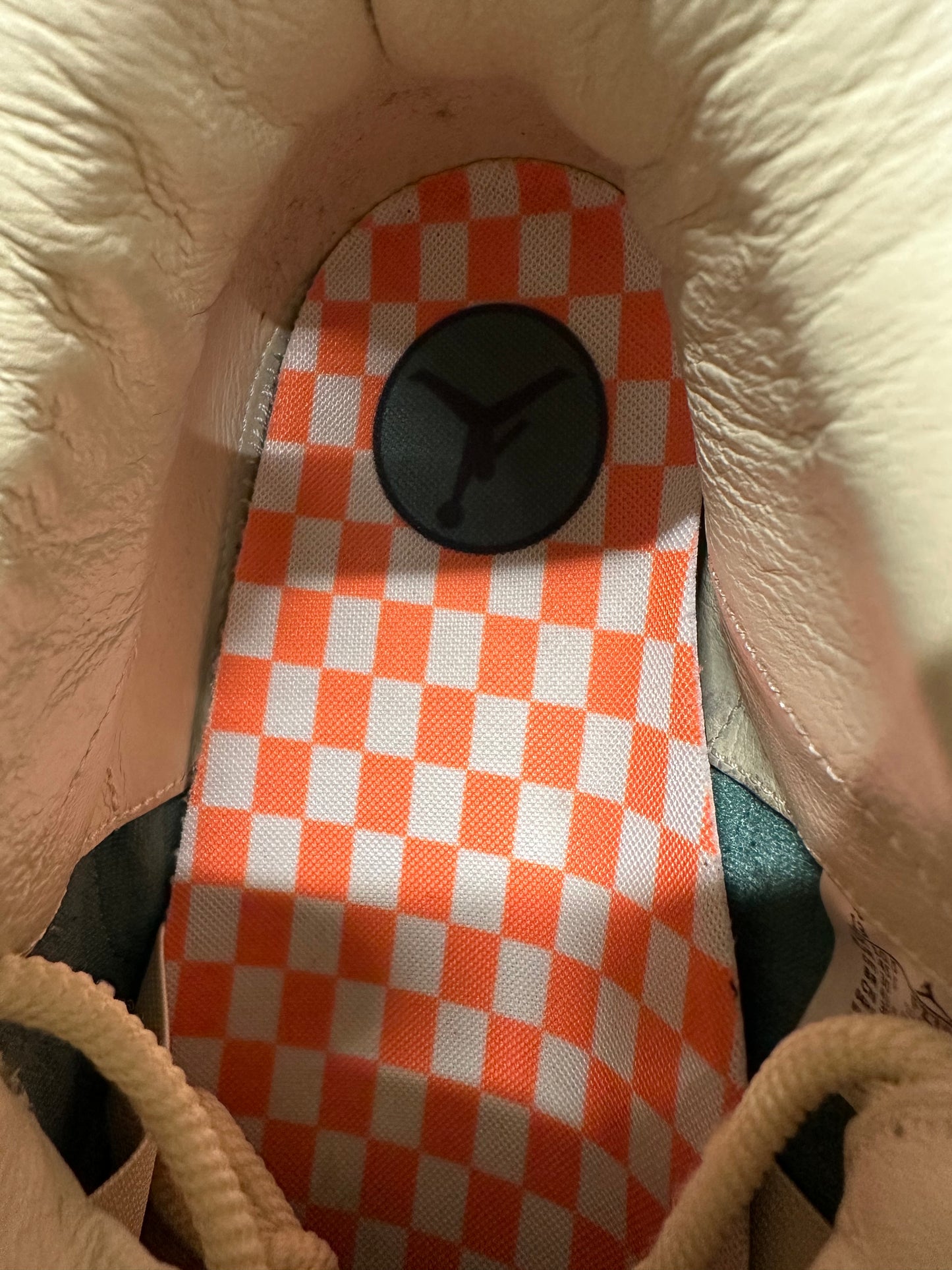 Air Jordan 3 Nina Chanel Bicoastal Sz 11.5 (13W)