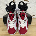 Air Jordan 6 Carmine (2021) Sz 7.5