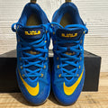 Nike LeBron 12 Low Entourage Sz 13