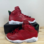 Air Jordan 6 Retro History of Jordan (Spiz’ike) Sz 10 DS