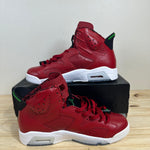 Air Jordan 6 Retro History of Jordan (Spiz’ike) Sz 10 DS