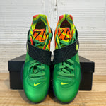 Nike KD 4 Weatherman (2024) Sz 11.5 DS