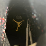 Air Jordan 11 Retro Platinum Tint Sz 10