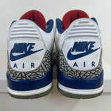 Air Jordan 3 True Blue Sz 13